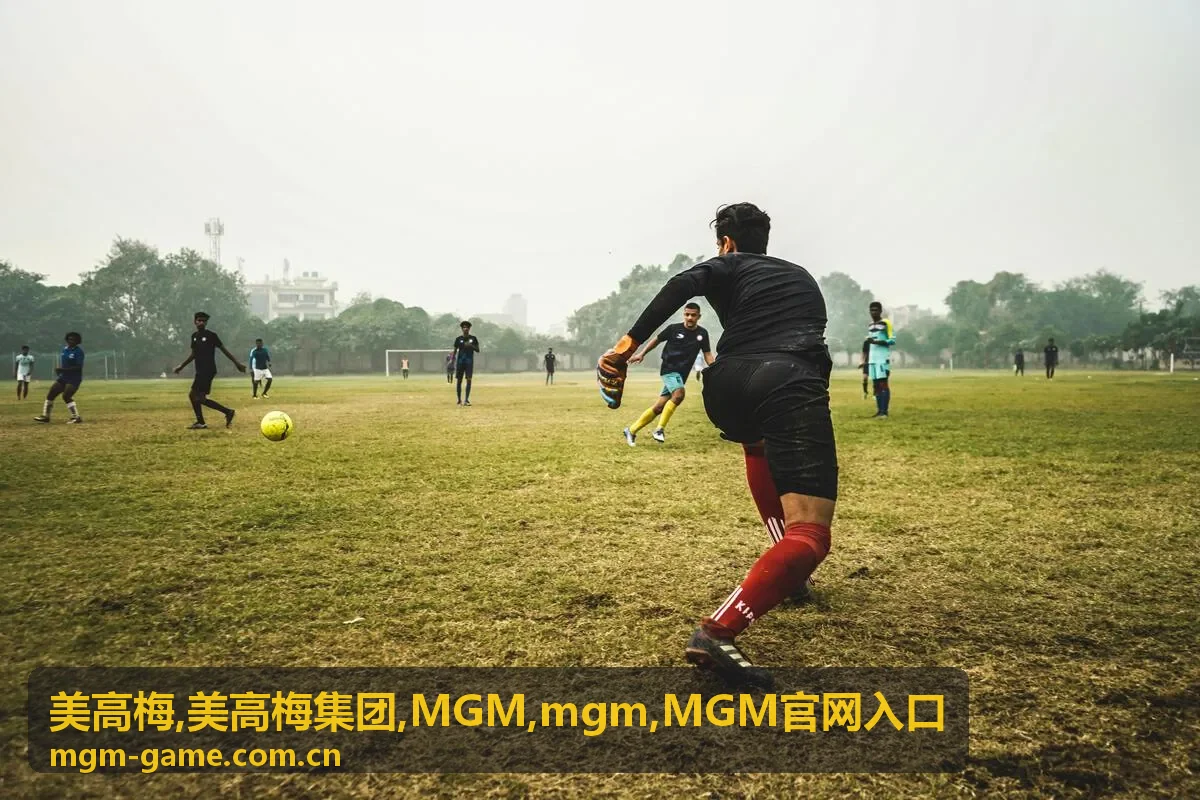 MGM官网入口访问路径与美高梅信息封面